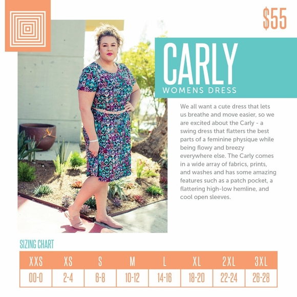 LuLaRoe Carly discontinued style Hi-Lo Swing Dress - Picture 4 of 4